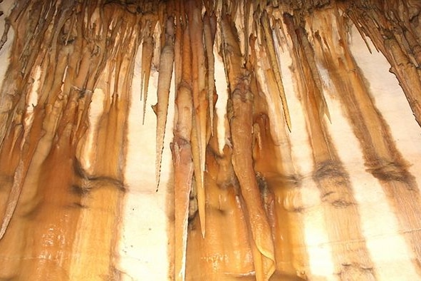 The roof and wall of a cave with stalagmites