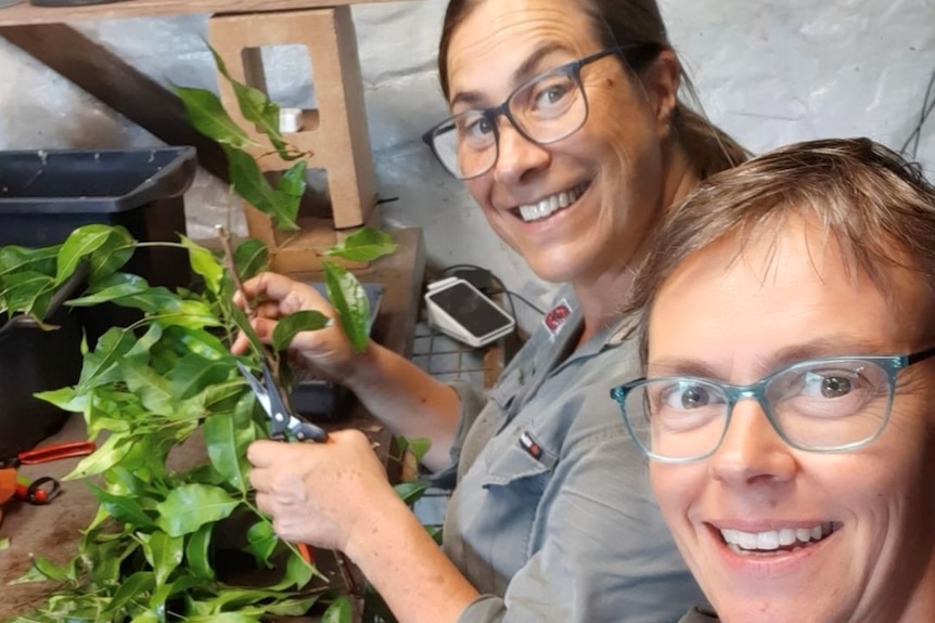 Two women with plants