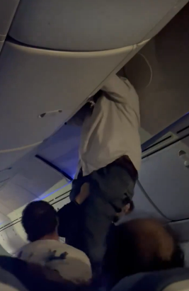 Passengers raced to help pull him down after the aircraft made an emergency landing in Brazil