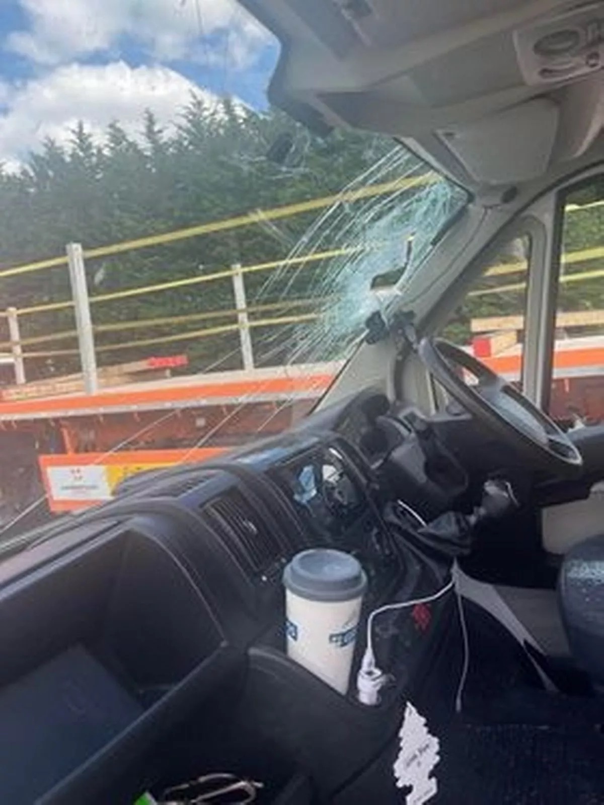 It had flown through the windscreen while the pair were driving home from Devon