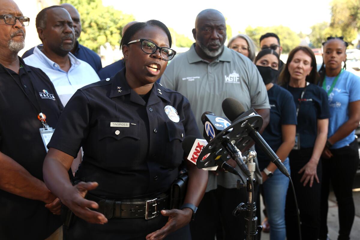 LAPD Deputy Chief Emada Tingirides.