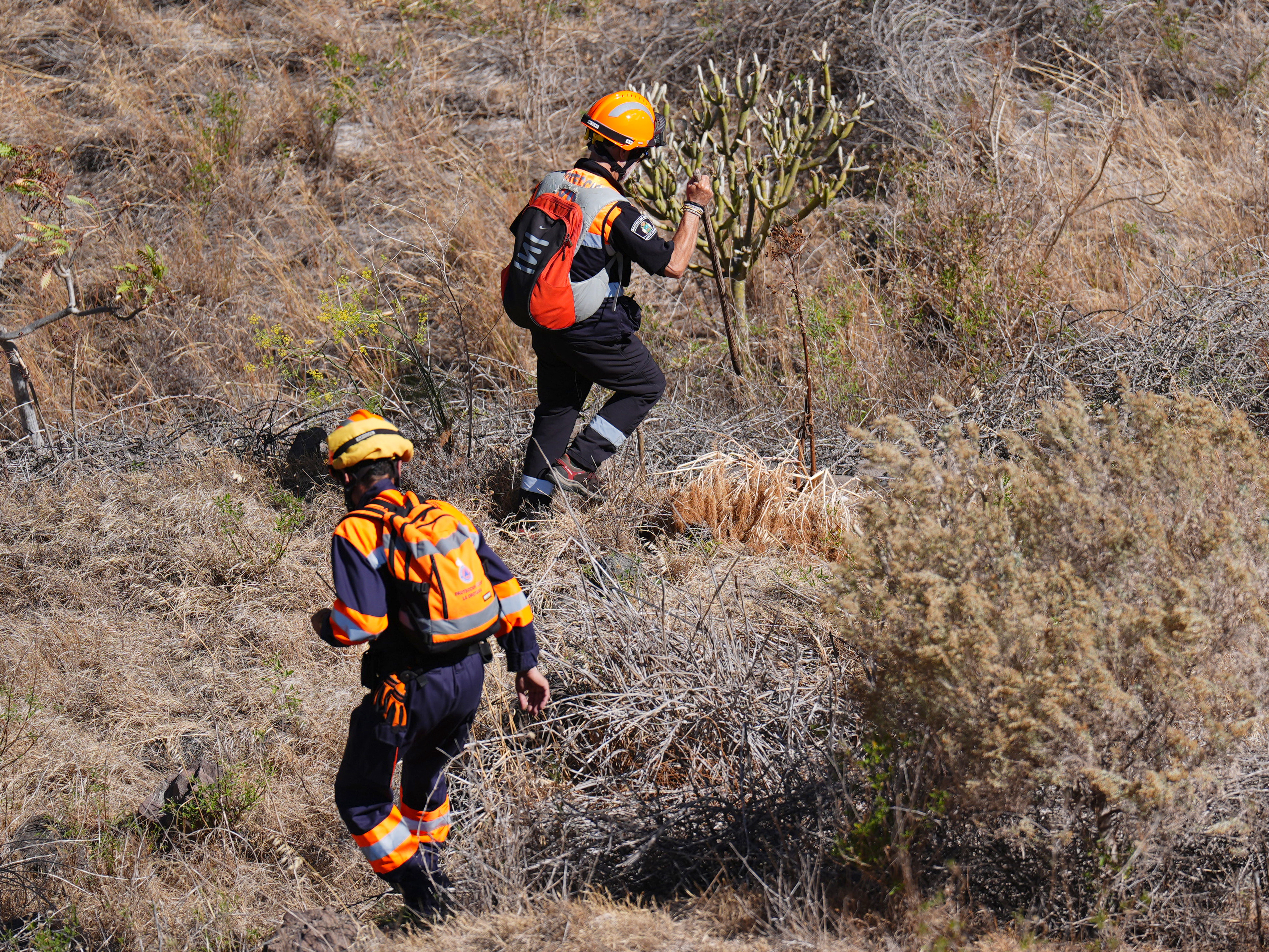 The search area is rural and mountainous