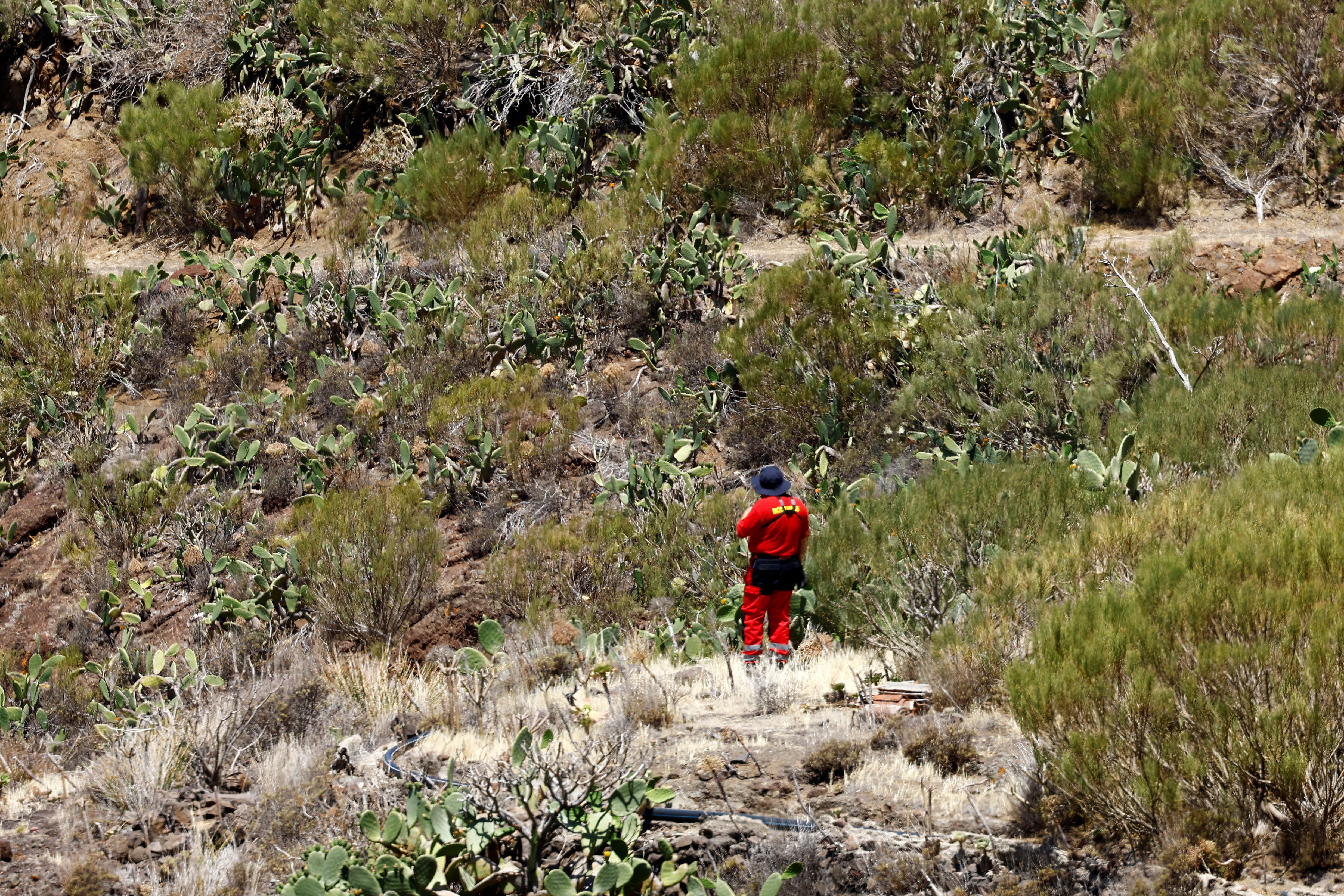 Many volunteers joined in on the search