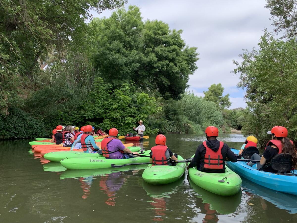 A group of folks wearing helmets and life jackets floats in kayaks along a narrow river surrounded by leafy green flora.