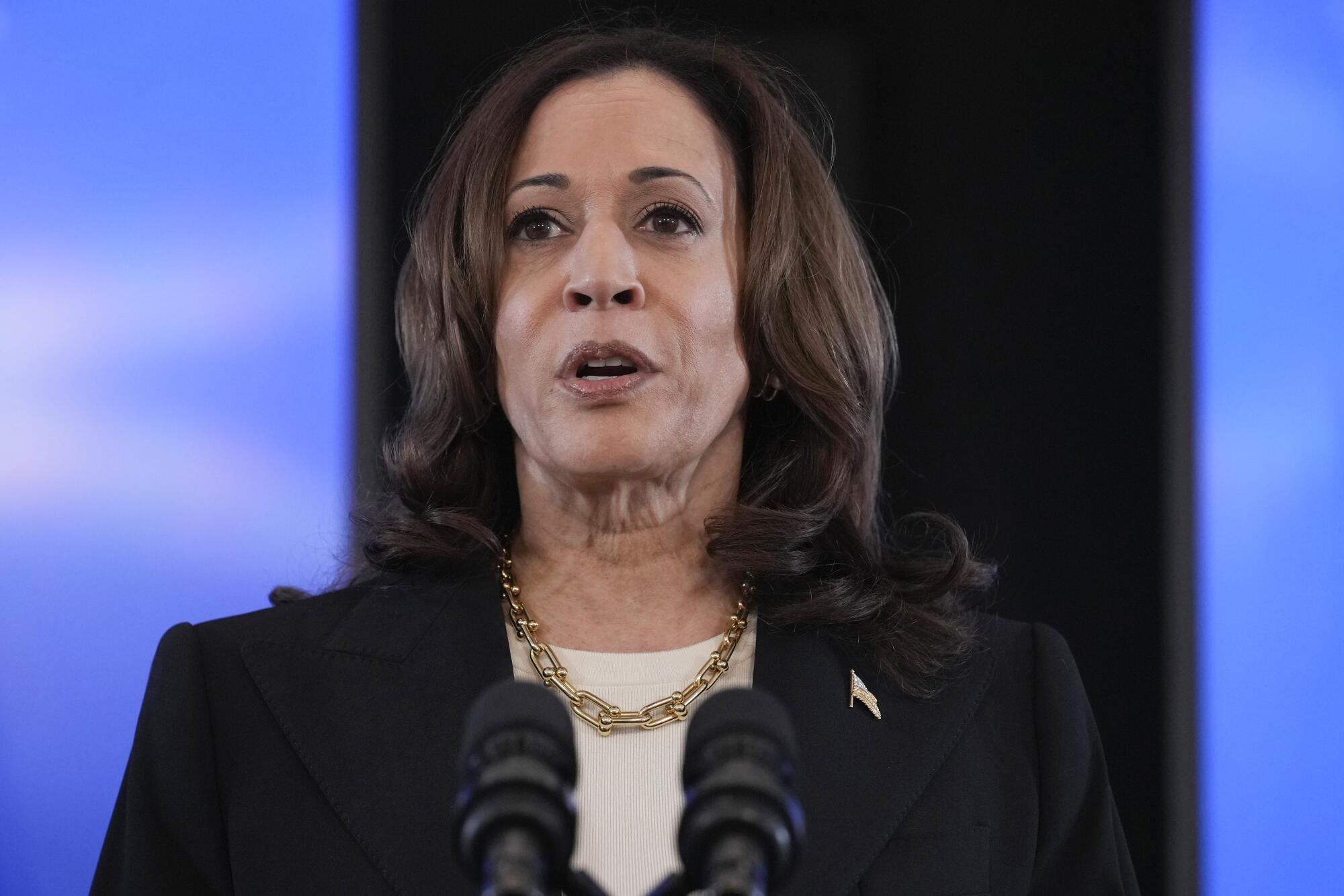 Vice President Kamala Harris speaks about sexual violence.