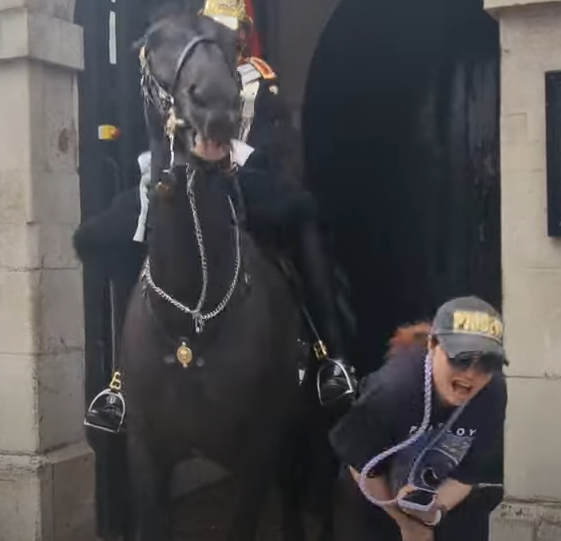 The tourist shouts out in pain and heads away from the animal