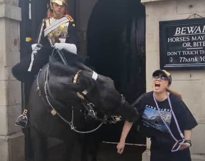 As she poses for her photo, the steed moves its head towards her and bites her arm