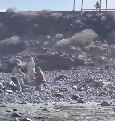 The attack began all the way at the top of the beach as onlookers watched in horror