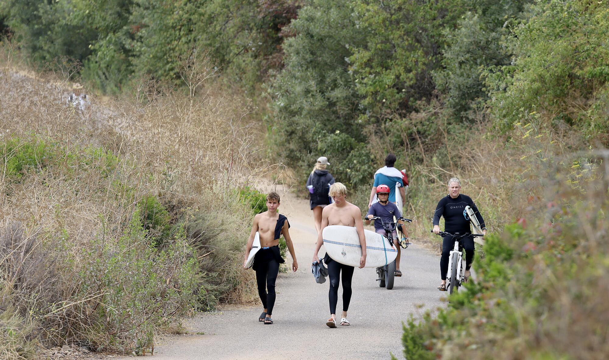 Shirtless young men holding white surfboards walk a path to the beach.