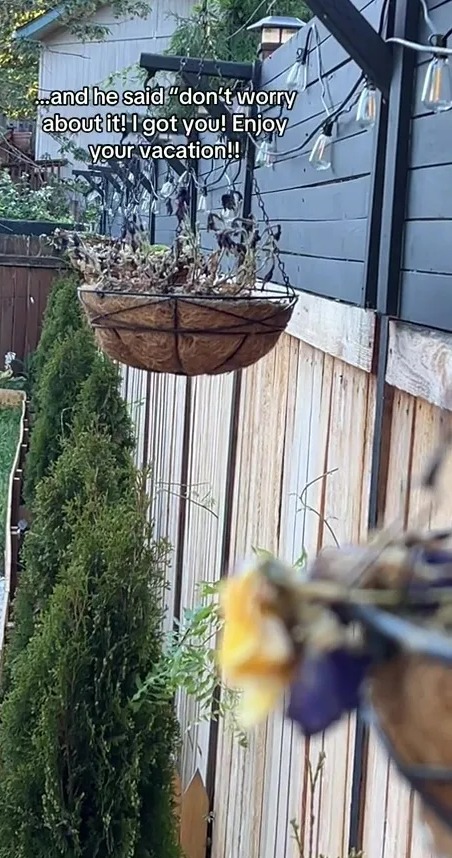 All her hanging baskets were in need of TLC