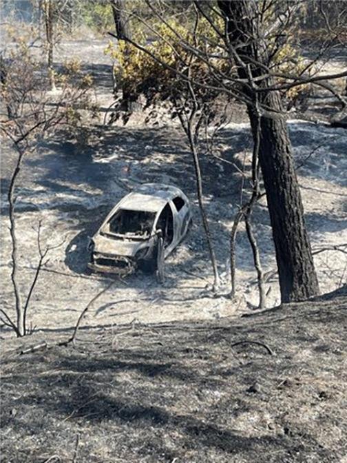 Authorities said the Park Fire was caused by a car set a blaze. Photo courtesy of Cal Fire/X