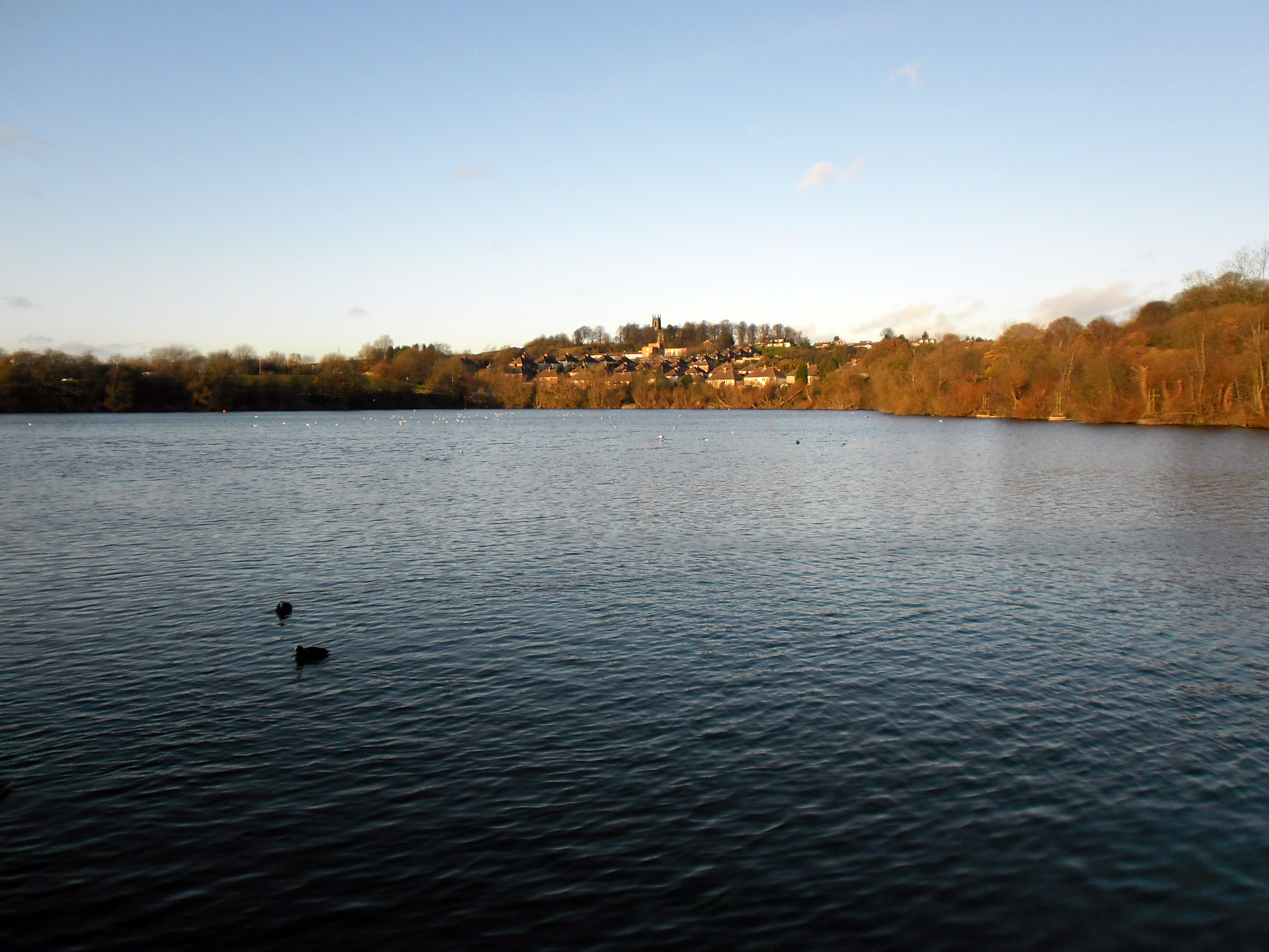 A teen boy has gone missing while swimming in the Netherton Reservoir