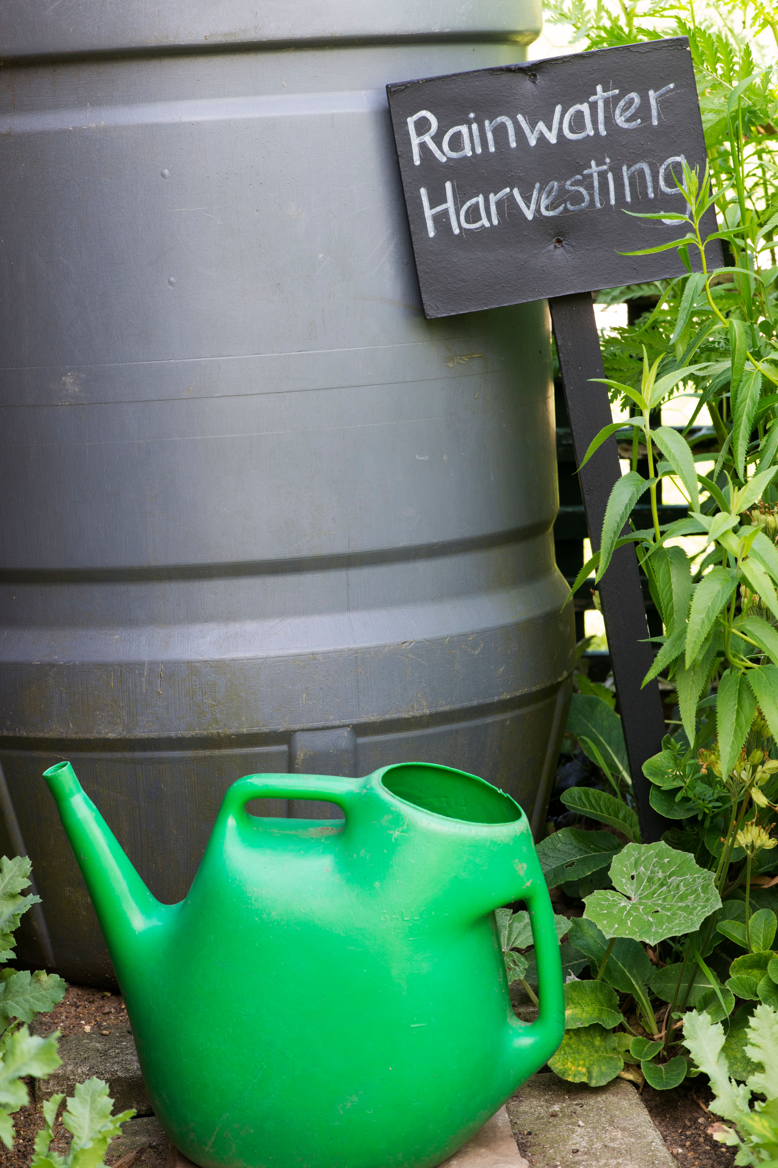 Rainwater harvesting has been encouraged by the government