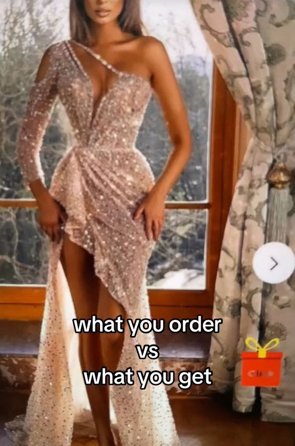 TikTok Evita had a shopping fail when the dress she ordered above looked bothing like what was advertised when it arrived