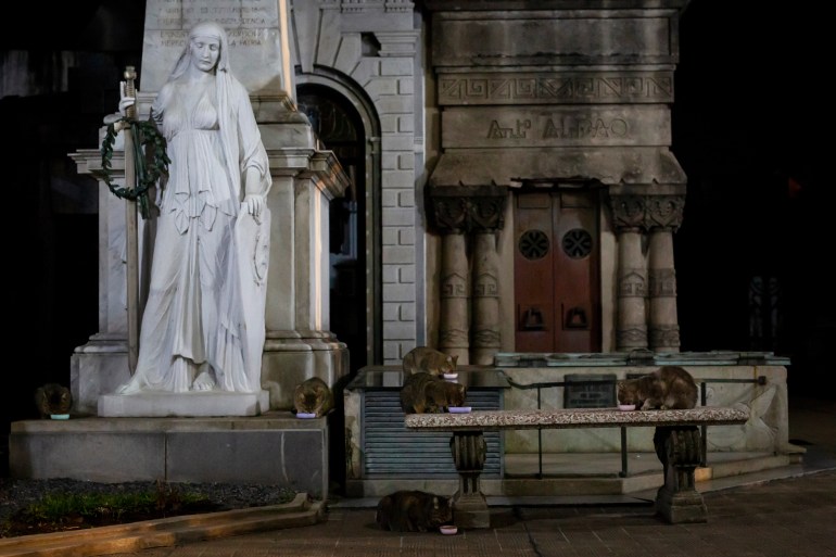 The Recoleta cats enjoy their first meal of the day in front of the grave of famed General Miguel Estanislao Soler, a hero of the Argentine War of Independence, in Buenos Aires' Recoleta Cemetery on July 1, 2024.-Once home to a colony of more than 60 stray cats, the famed Recoleta Cemetery now houses only six cats: Lili, Princesa, Llorona, Lucio, Cabezón and Grisecito. Pisani, the florist, visits the cemetery every day at 5am to feed the cats. However, in a country with an ever growing economic crisis and 200% inflation, he is finding the cost of looking after the animals increasingly prohibitive and has become reliant on donations from visitors.