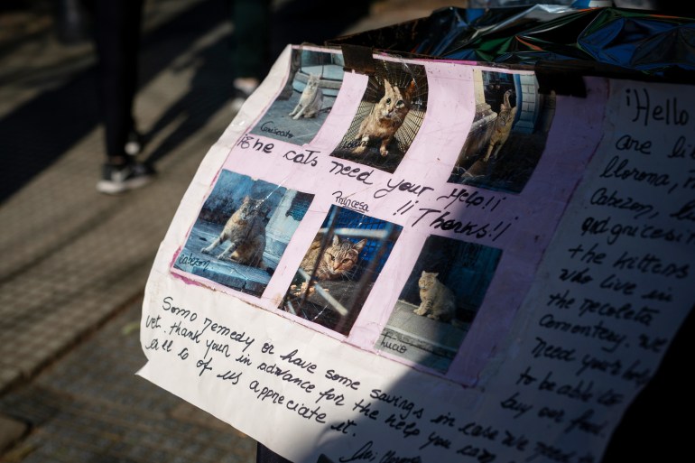 Marcelo Pisani, 55, has placed posters and fundraising boxes on his flower stand near the entrance of the Recoleta Cemetery in Buenos Aires, Argentina on July 1, 2024. According to Pisani, due to rising costs, he now relies on the donations of locals and tourists to maintain the daily feedings of the cats.