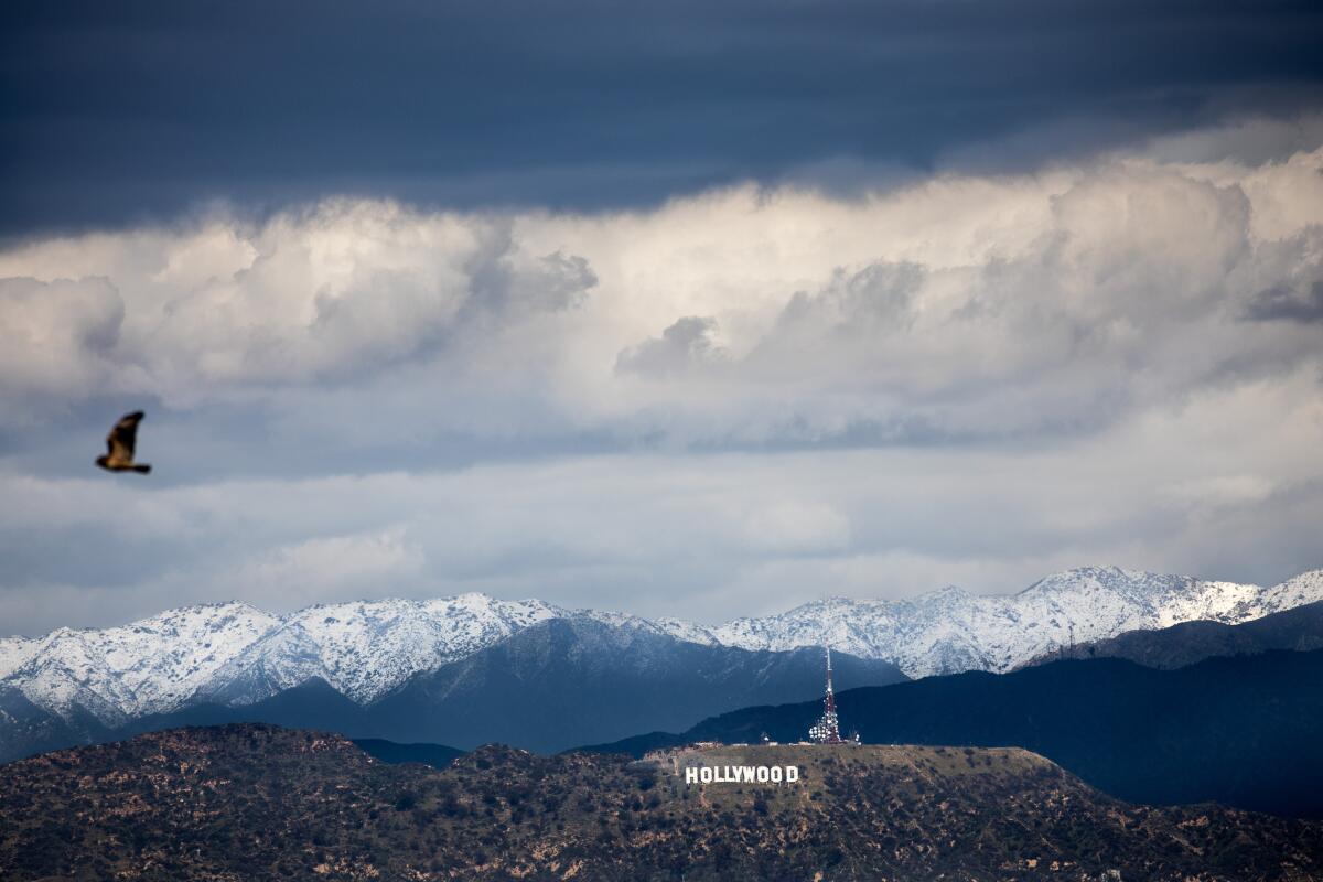 A view of the Hollywood sign, with a backdrop of mountains, from Kenneth Hahn State Recreation Area. 