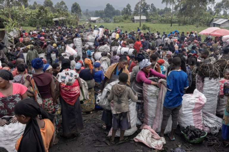 DR Congo deforestation