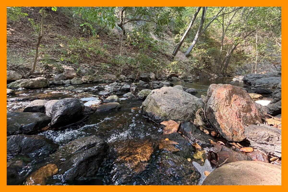 A rocky creek splits tree-lined banks.