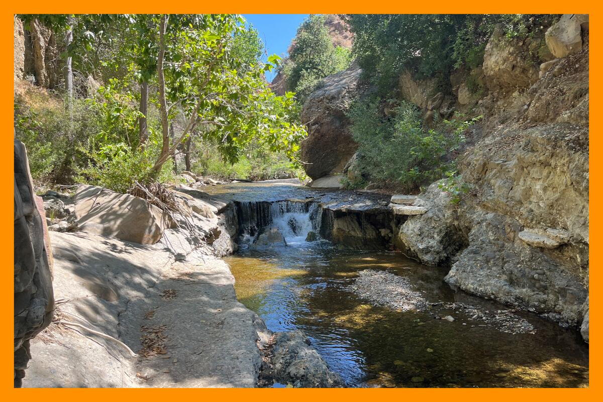 A river splits two rocky banks. Trees line the river and shade the canyon.