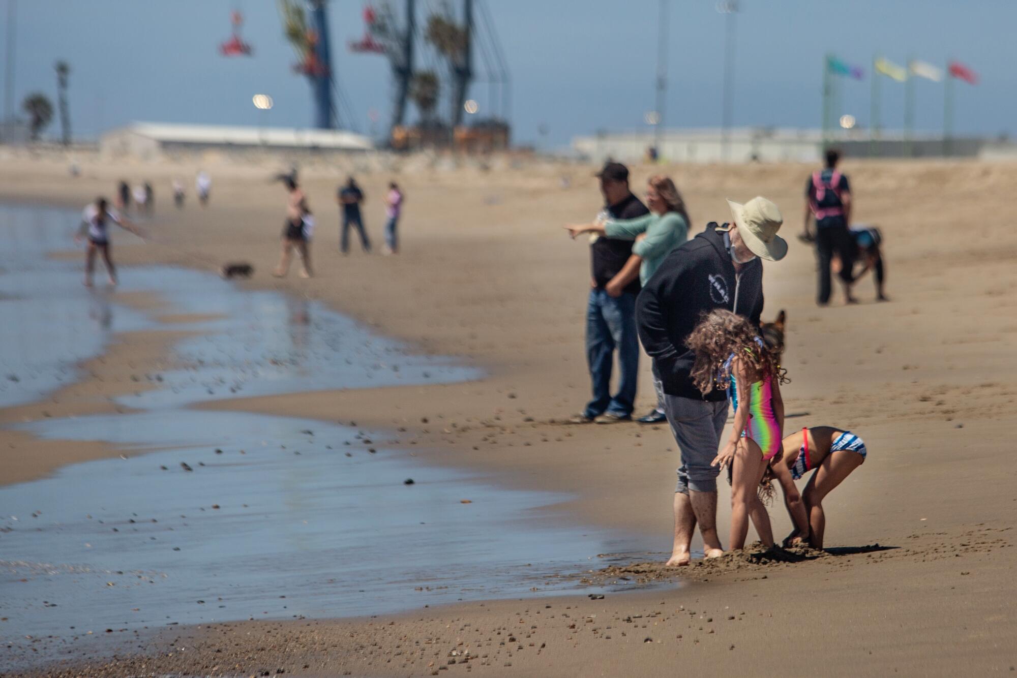 People play along the sand at the beach.