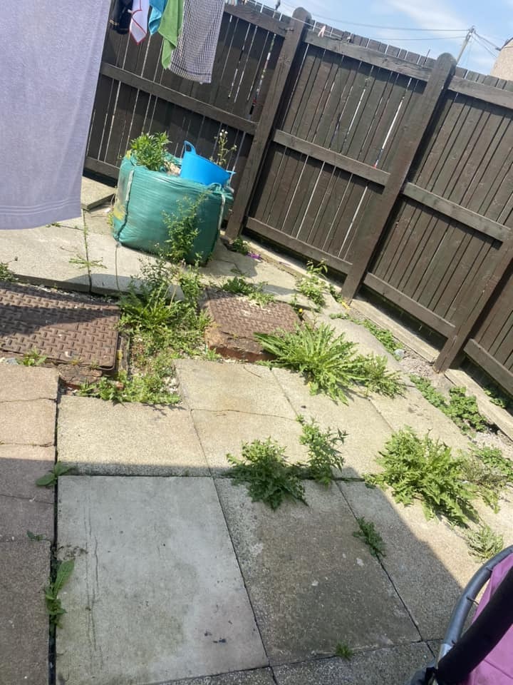 One woman asked for help sorting out her garden after normal weed killer failed