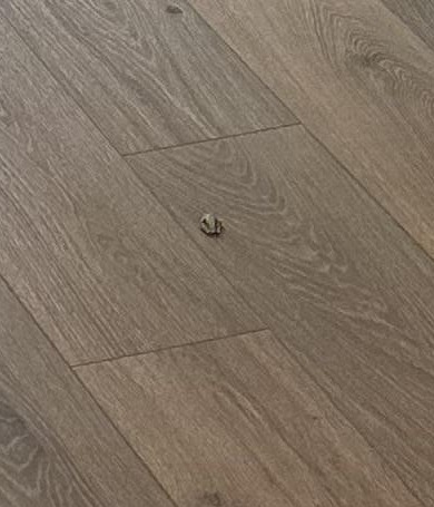 The tiny amphibian blended in with the wood-grain floor