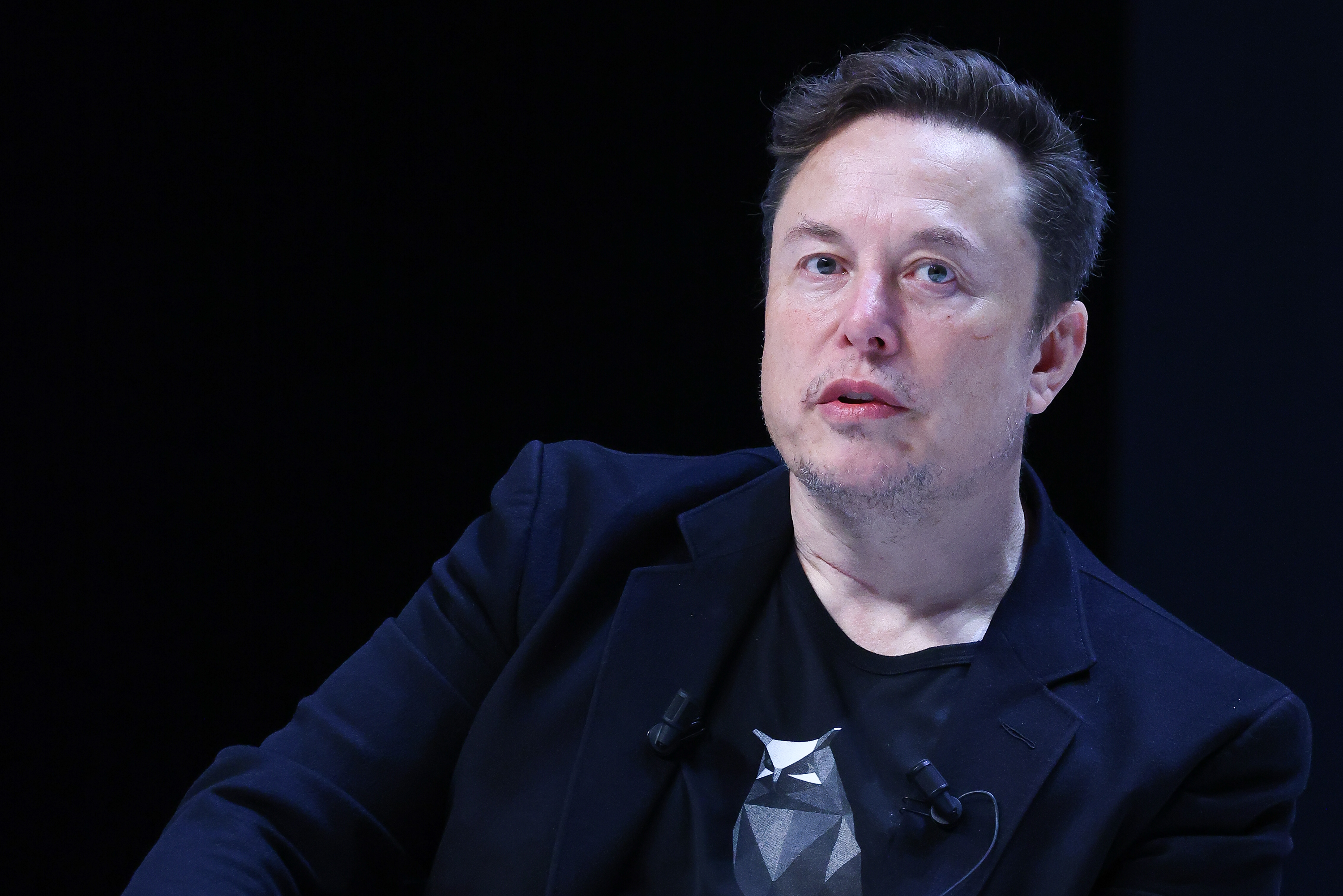 Elon Musk speaks at a festival in Cannes, France, in June 2024