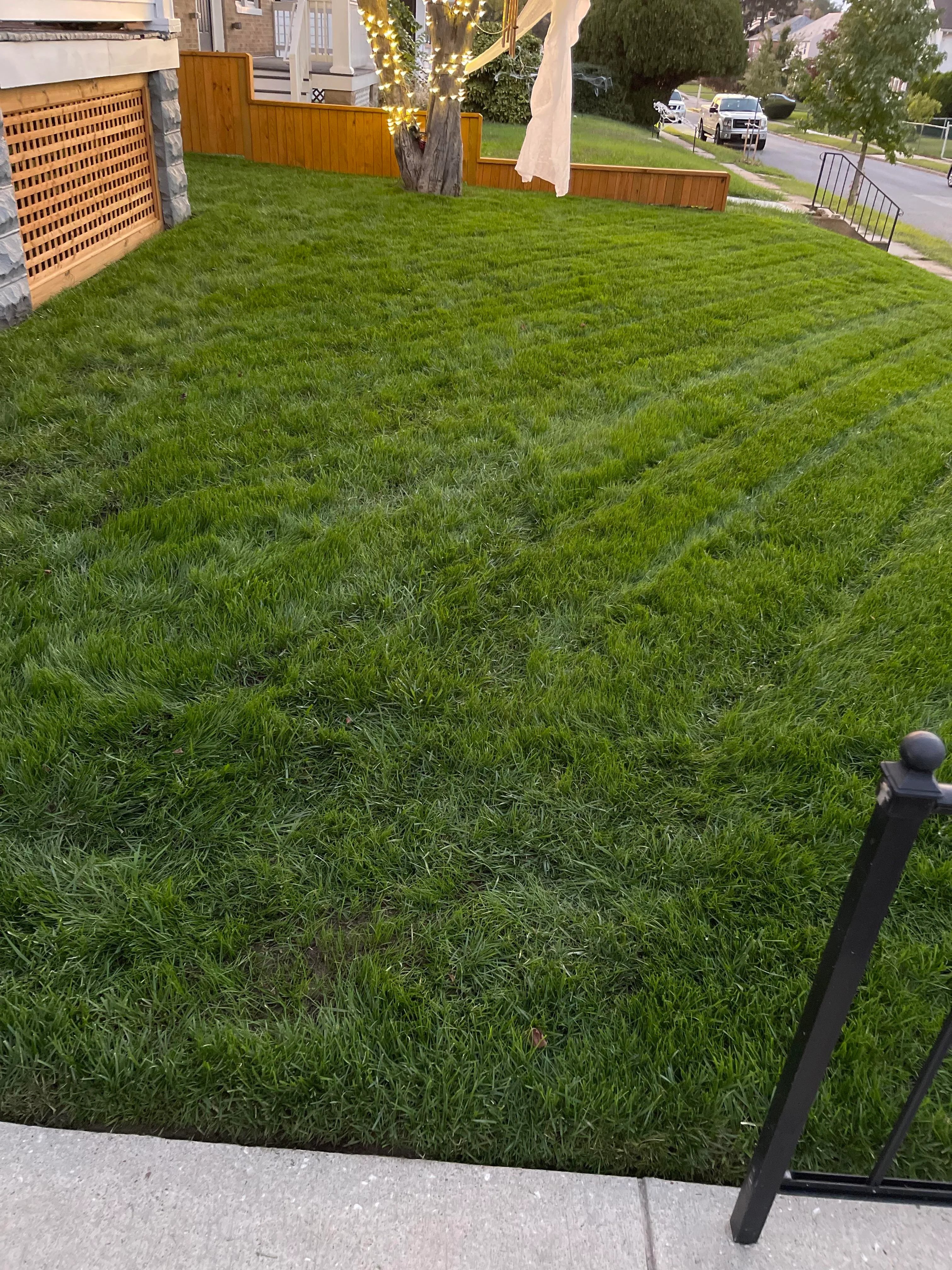 The homeowner explained that it took less than a month for her lawn to transform