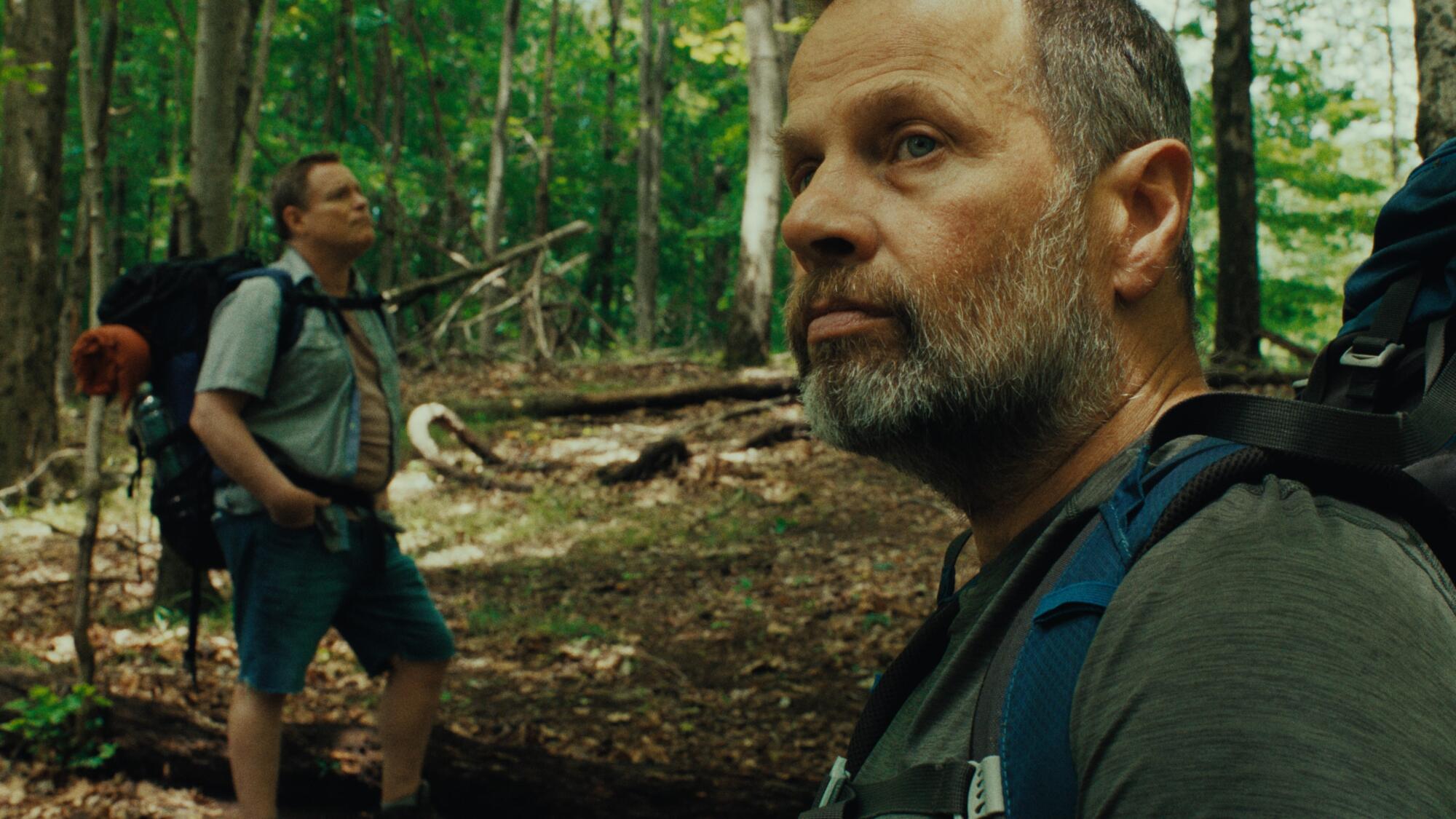 Two men hike in the woods.