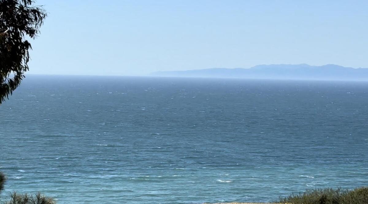 The view off Palos Verdes Dr. on the way to Palos Verdes High.