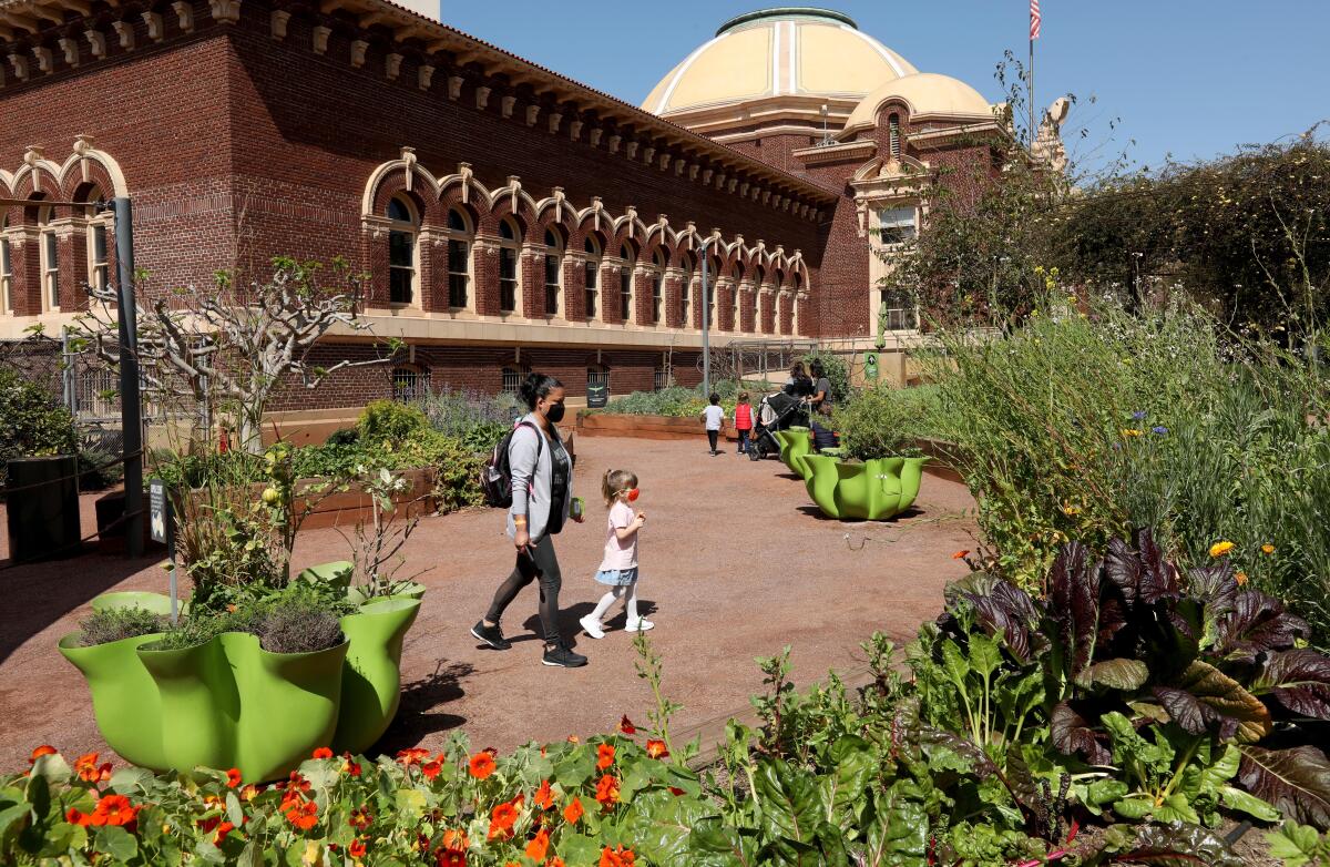 Visitors walk around outside among plants and flowers near a museum building