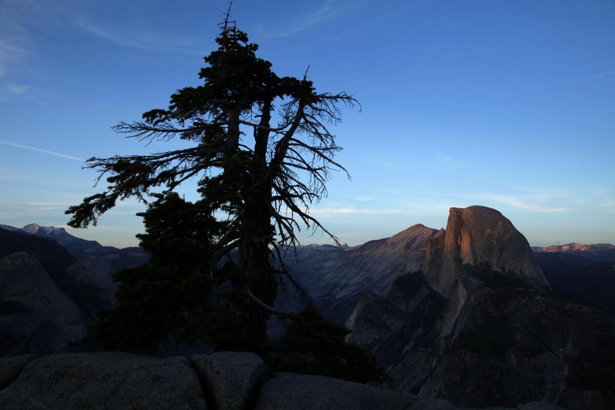 Half Dome at dusk in the distance from Glacier Point in Yosemite National Park