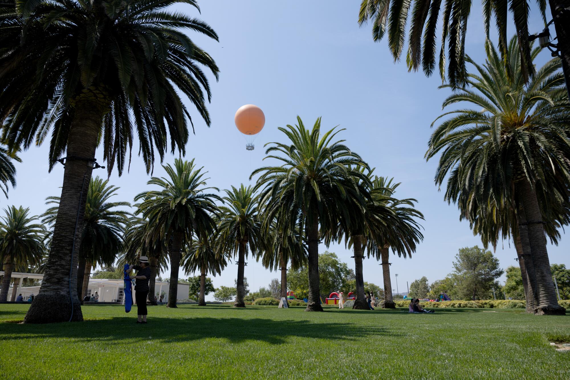 The Great Park Balloon hovers over palm trees at Irvine's Great Park.