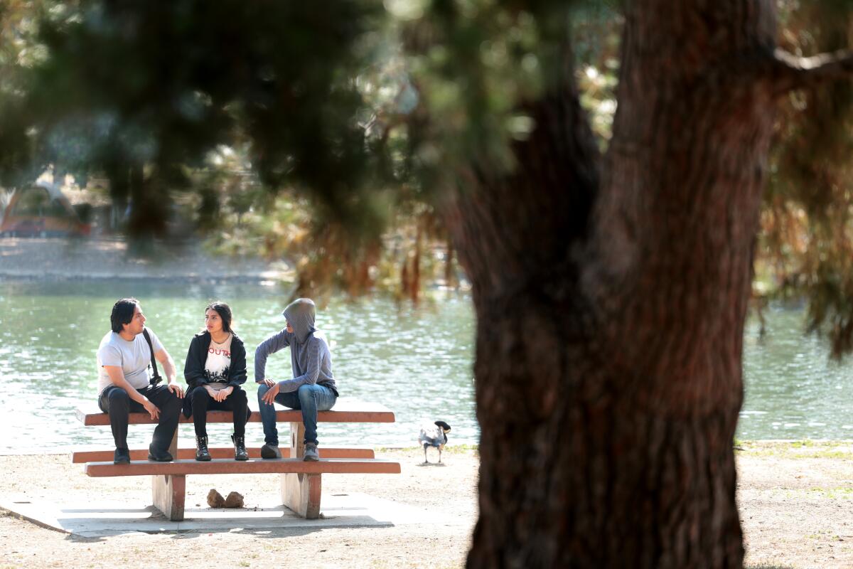 Three young children talk while sitting on a picnic bench with a tree in foreground.