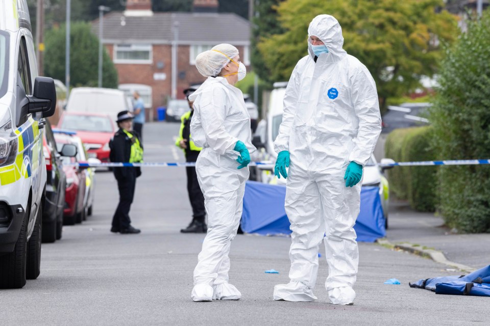 A police investigation into the stabbings is ongoing