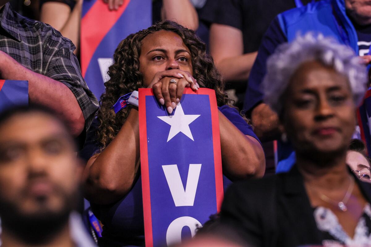 DNC delegates watch from their seats