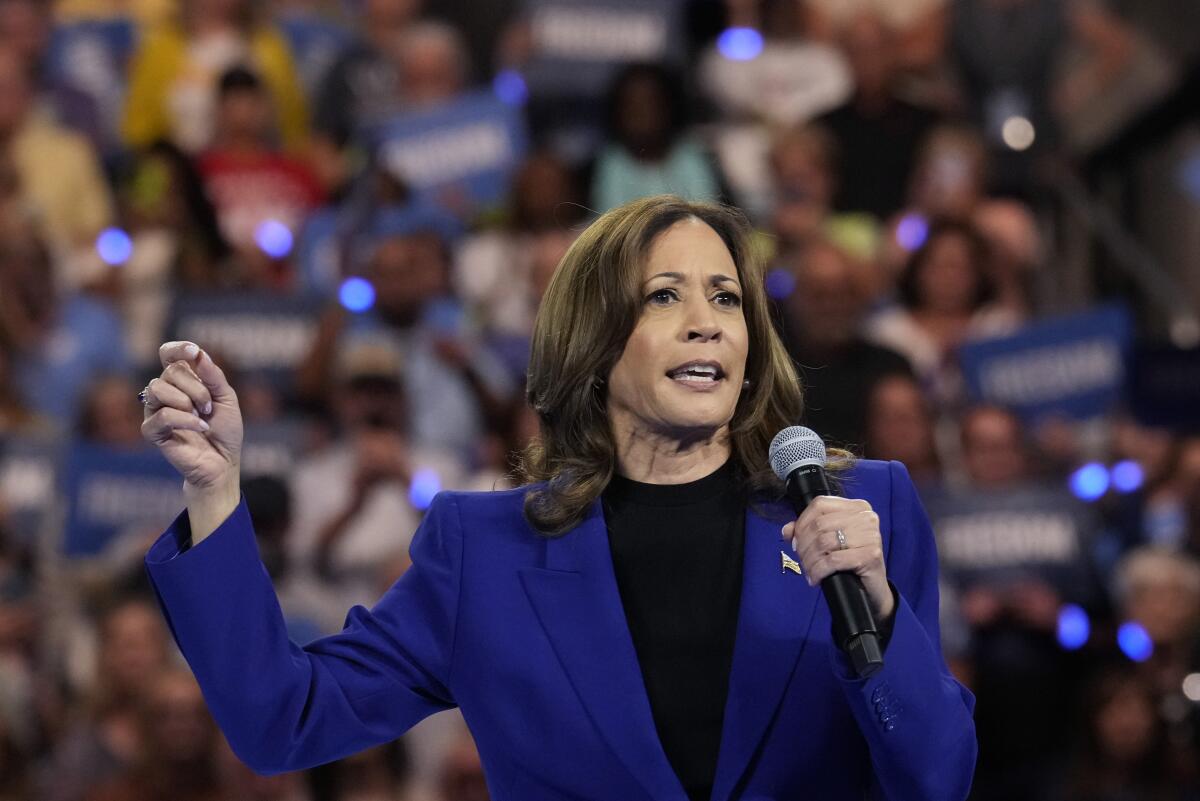 Vice President Kamala Harris holds a microphone and speaks at a rally.