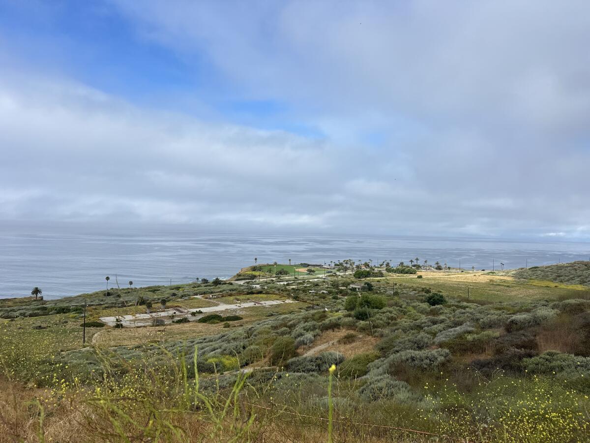 A green hill slopes toward an ocean under a cloudy sky.