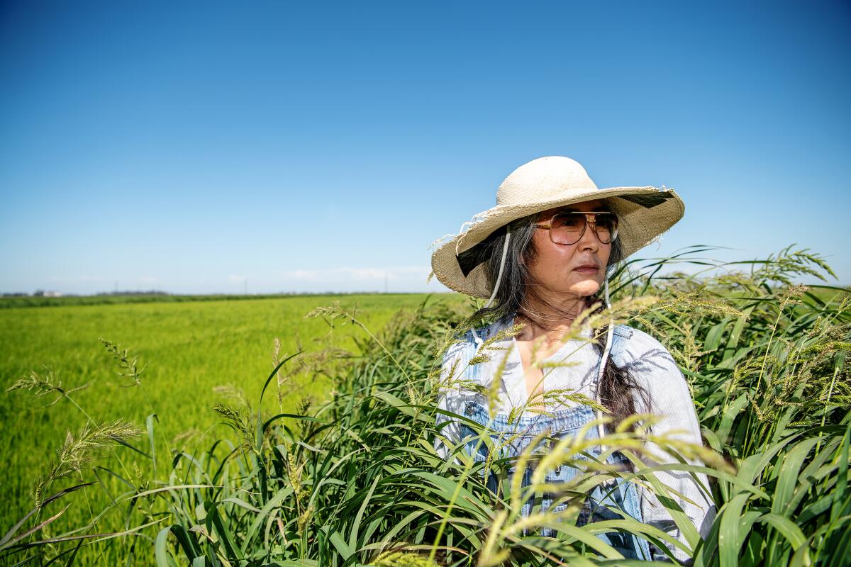 Robin Koda wearing sunglasses and a sun hat in a field