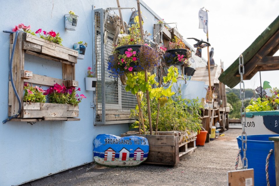 It all started with Rob and his niece planting some colourful flowers