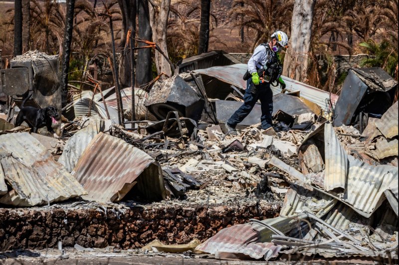 Members of Combined Joint Task Force 50 on Aug. 15, 2023, conduct search operations of areas damaged by wildfires in Lahaina, Maui. File Photo by Staff Sgt. Matthew A. Foster/U.S. Army National Guard/UPI