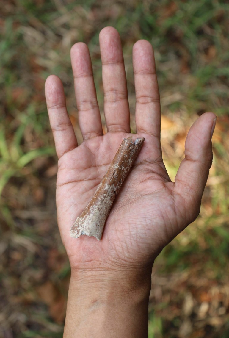 A researcher shows the tiny arm bone fragment on his hand.