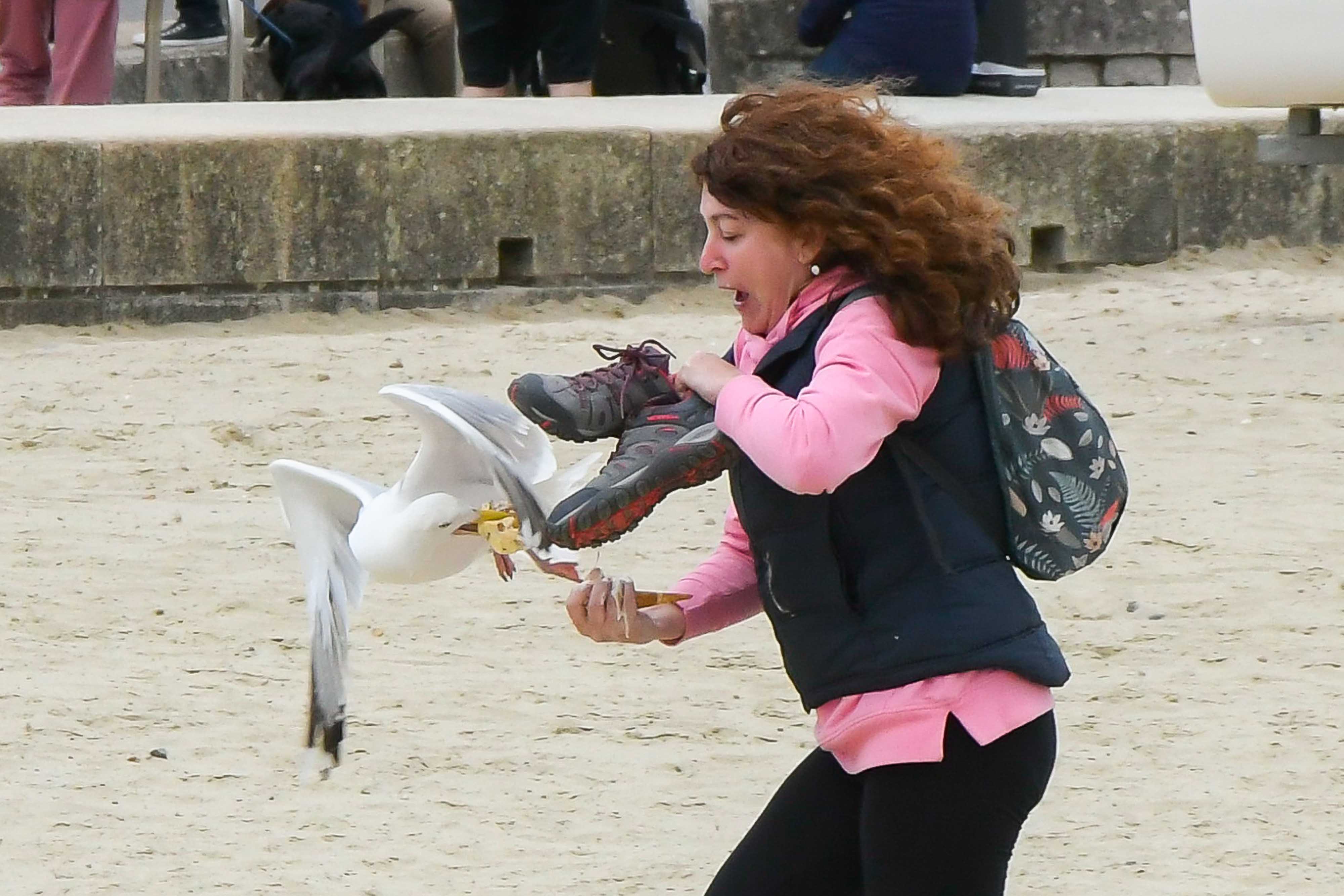 The best way to stop seagulls nicking your chips is by staring them in the eyes, a bird expert reckons