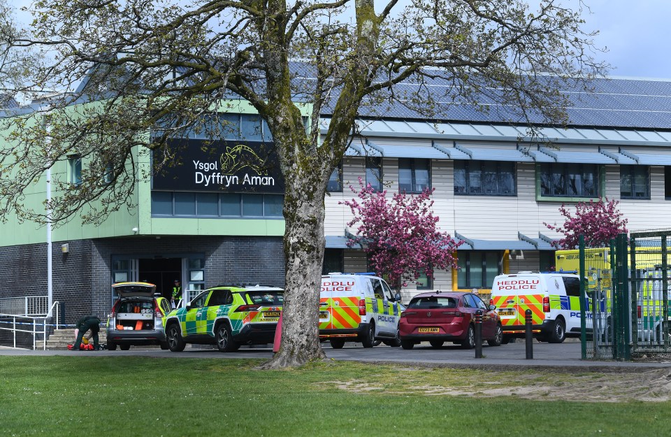 A teen girl charged over a stabbing at a school in Wales has appeared in court