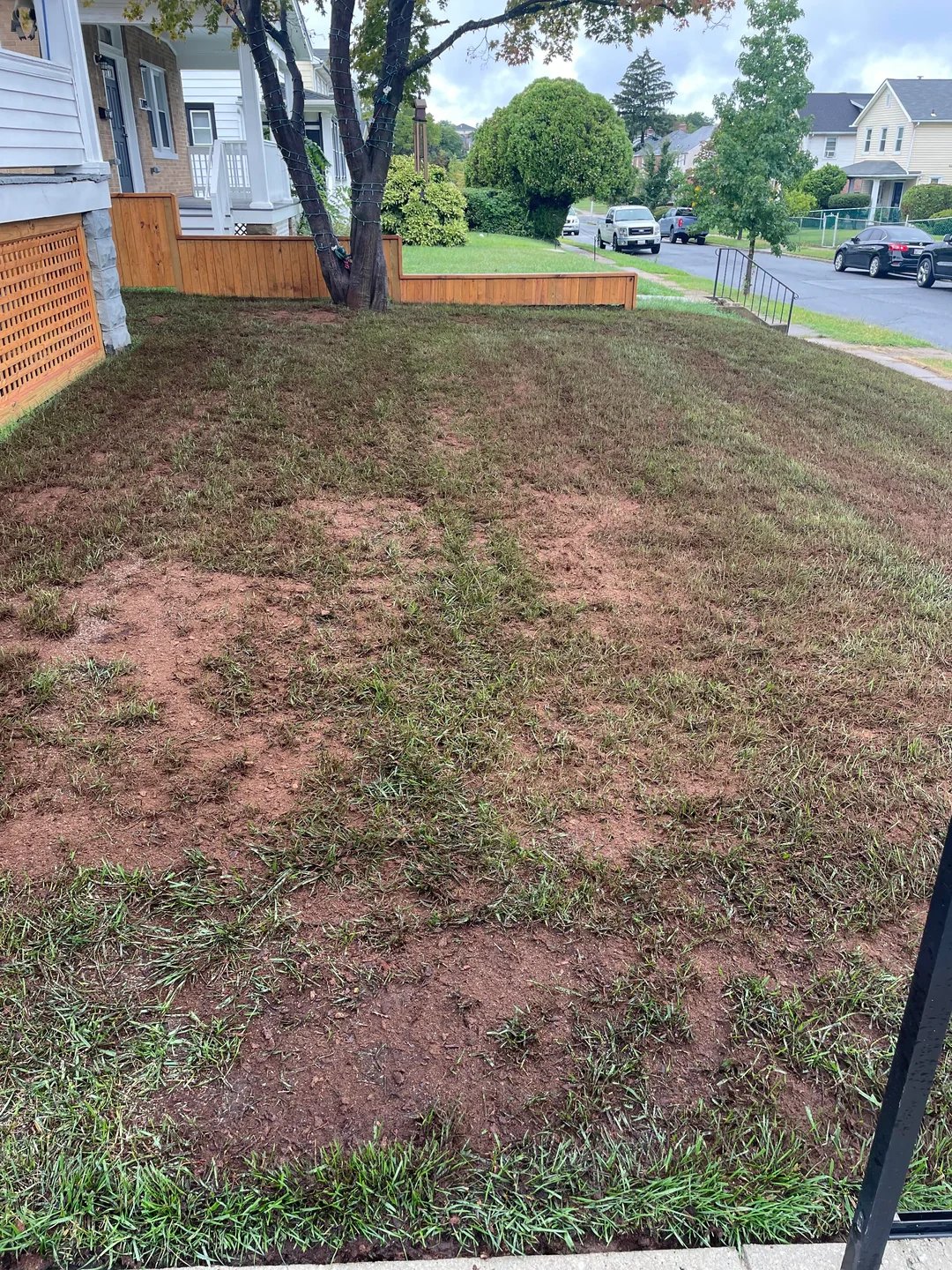 A Reddit user shared the steps she took to transform her patchy front lawn