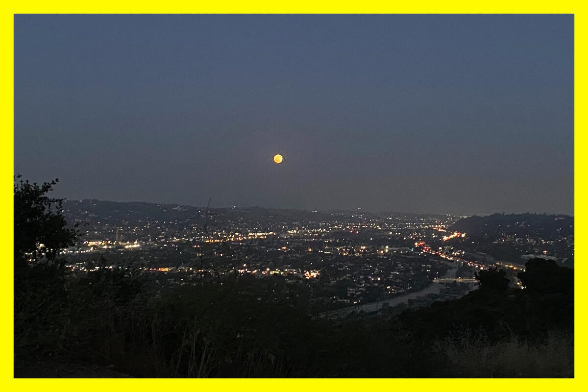 The light red full moon rising over L.A. in June 2023.