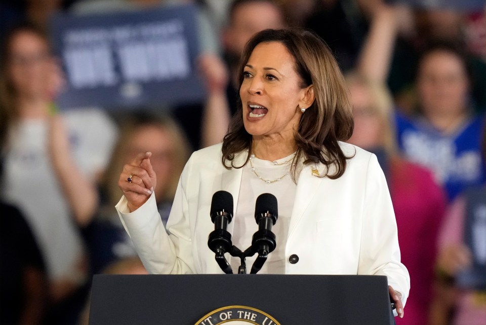 Vice President Kamala Harris snapped at a group of Gaza protesters after they interrupted her campaign rally