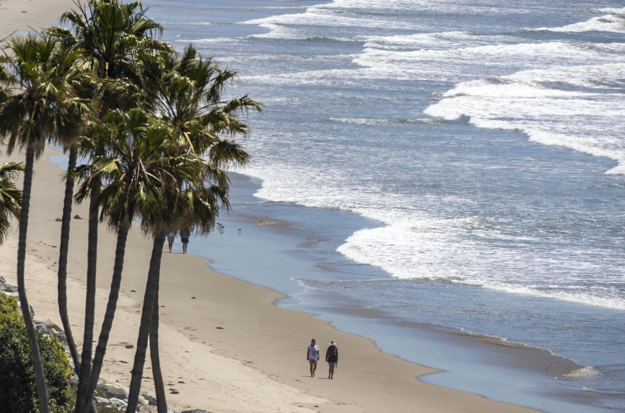 Two people walk on the sand near the ocean's edge with palm trees on the inland side of the beach