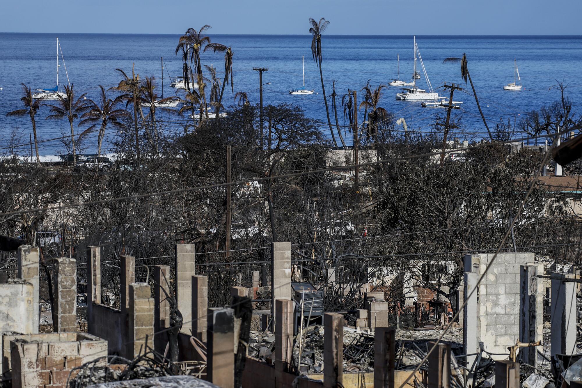 Homes and businesses lay in ruins after a devastating wildfire swept through town.